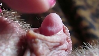 Intense Close-Up Of My Throbbing, Large Clitoris During Masturbation