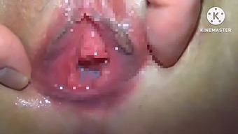 A Natural Japanese Woman Gets Her Pussy Fucked Hard In A Homemade Video
